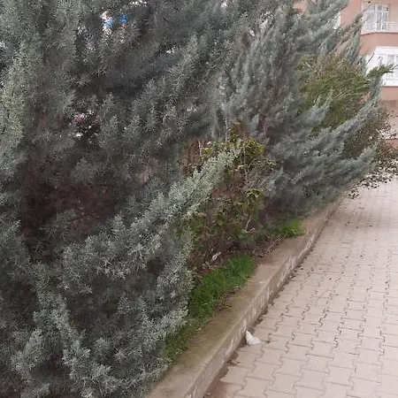 Apartment Guerbuez Konaklama *